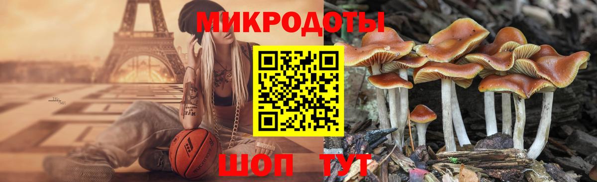 Псилоцибиновые грибы мухоморы  Вход с VPN  Москва 